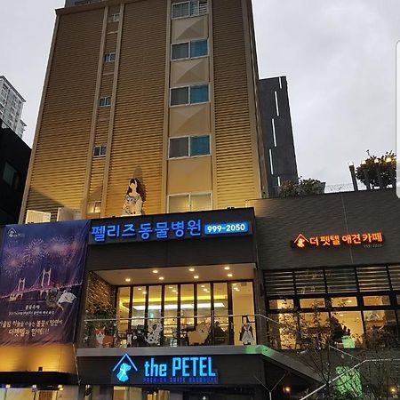 The Petel Premium Suite Busan Eksteriør bilde