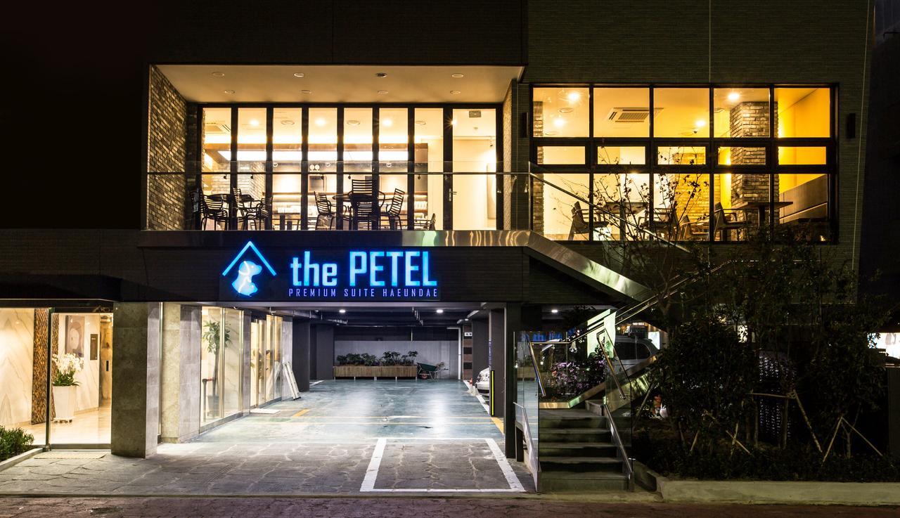 The Petel Premium Suite Busan Eksteriør bilde