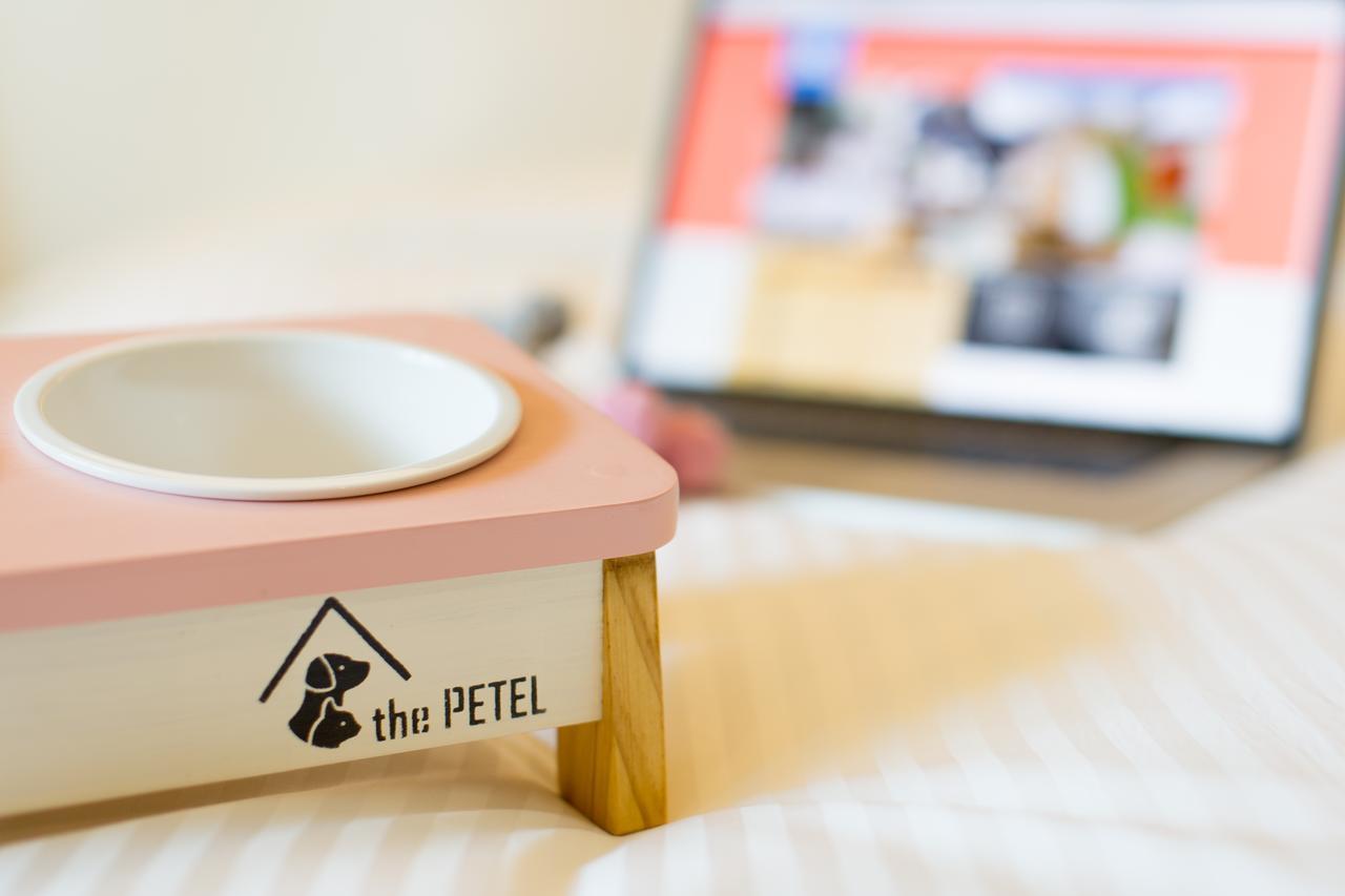 The Petel Premium Suite Busan Eksteriør bilde