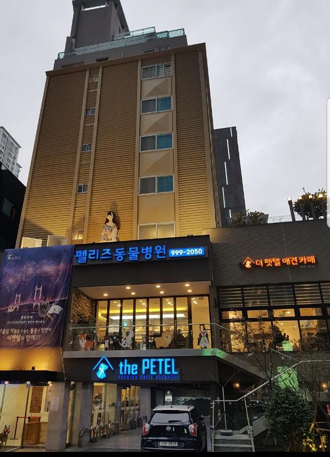 The Petel Premium Suite Busan Eksteriør bilde